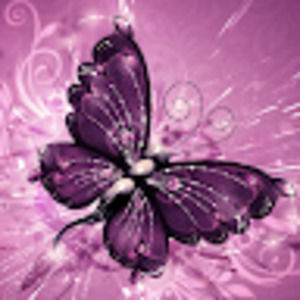 Meet your Posher, Marcy